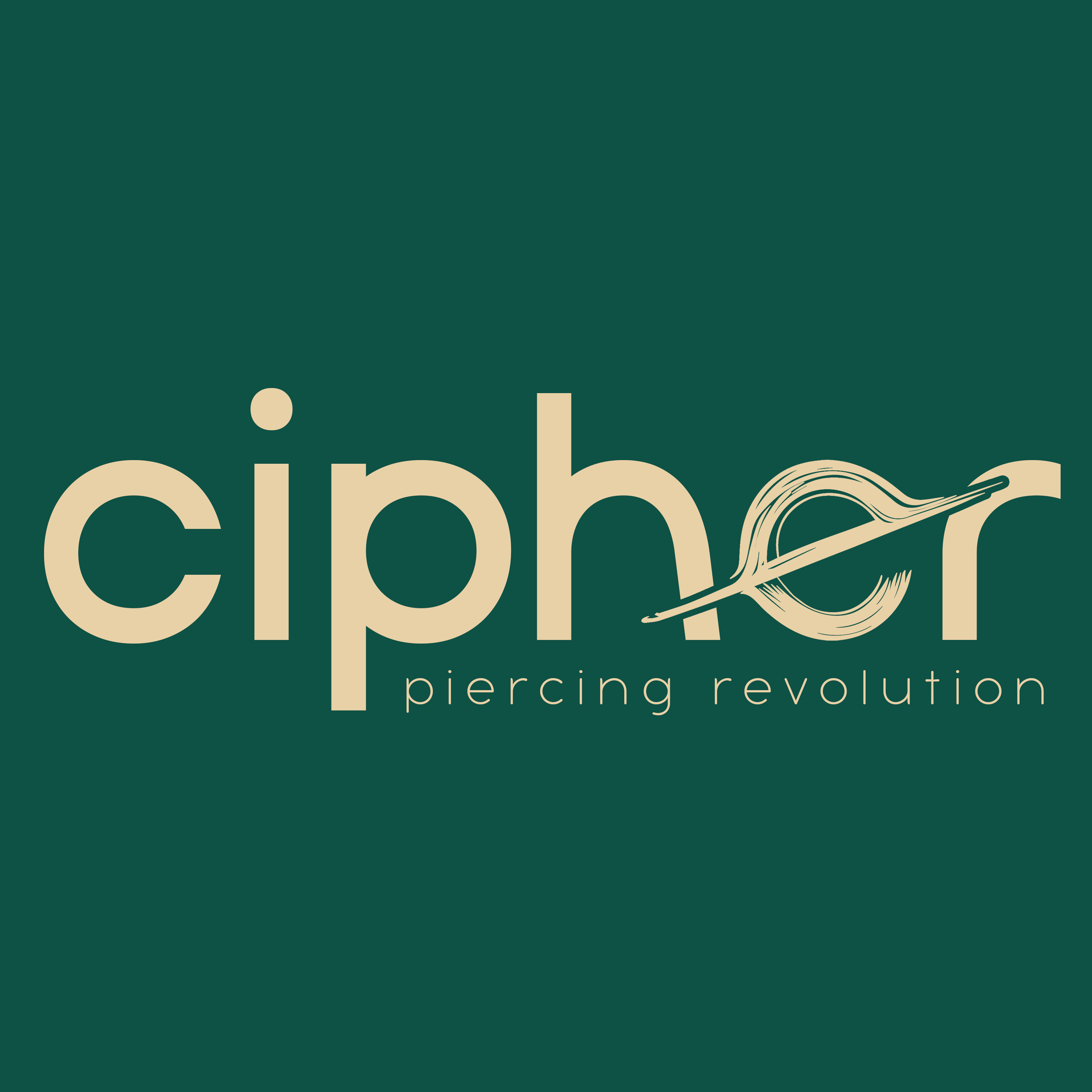 logo cipher (1)